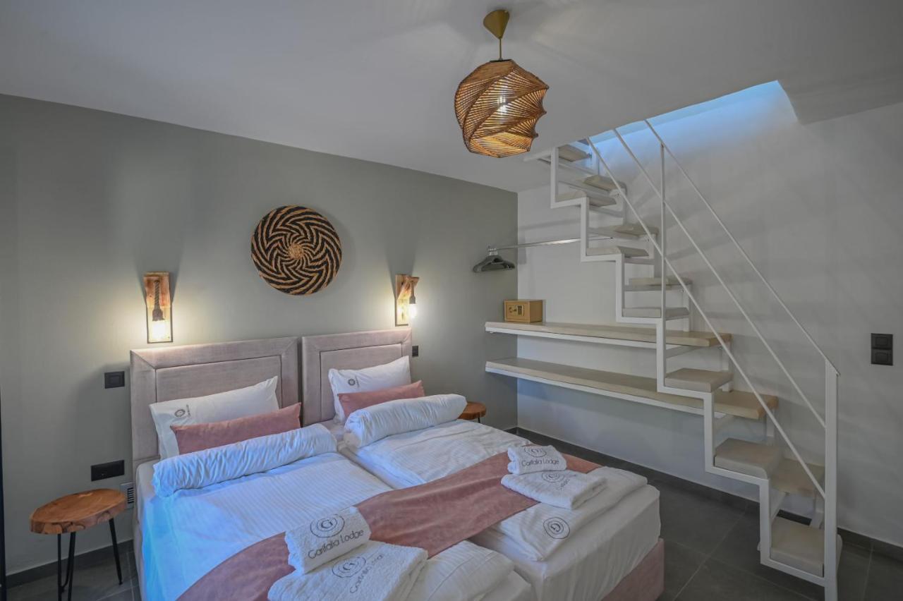 Villa Garifalia With Sauna & Hydromassage Chania  Exterior photo